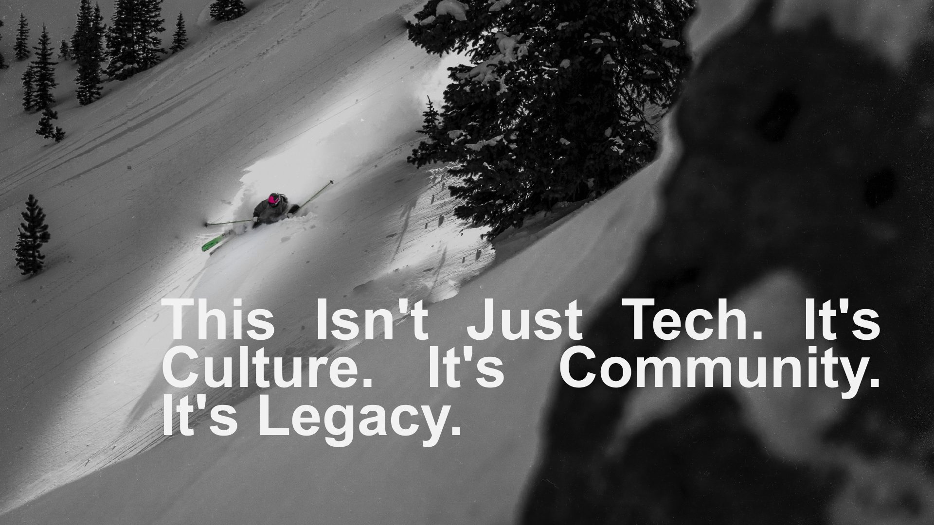 Slide 15